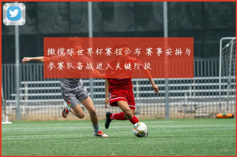 橄榄球世界杯赛程公布 赛事安排与参赛队备战进入关键阶段
