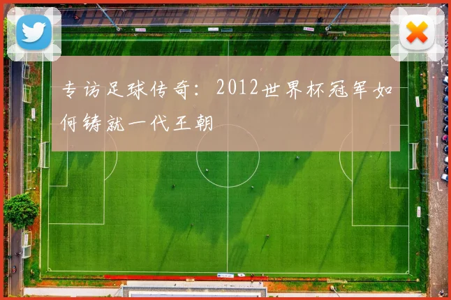 专访足球传奇:2012世界杯冠军如何铸就一代王朝