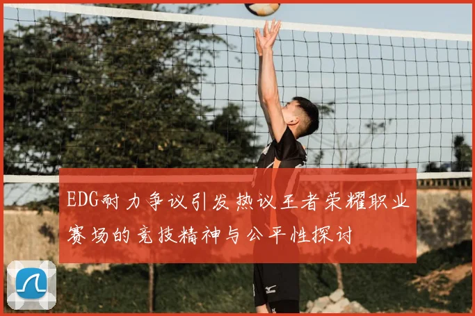 EDG耐力争议引发热议王者荣耀职业赛场的竞技精神与公平性探讨