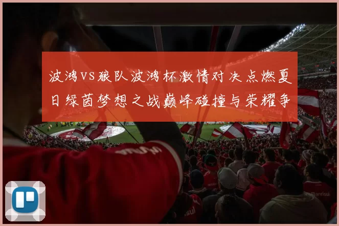 波鸿vs狼队波鸿杯激情对决点燃夏日绿茵梦想之战巅峰碰撞与荣耀争锋