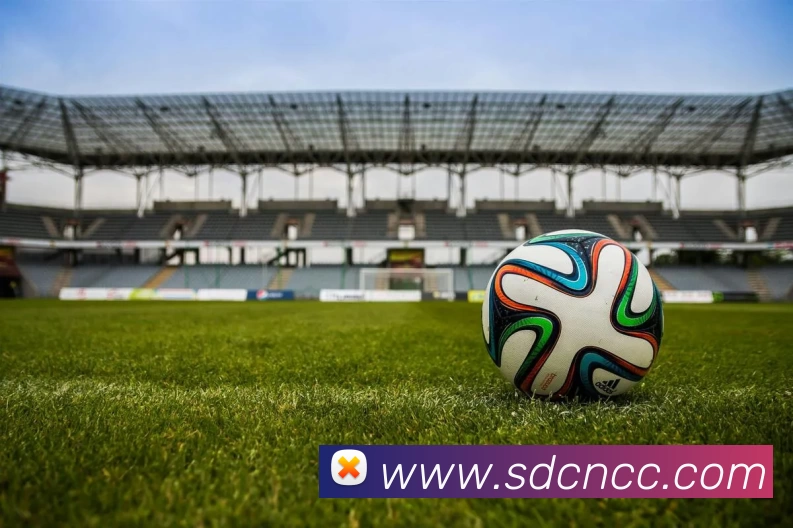 买球官网平台生态图