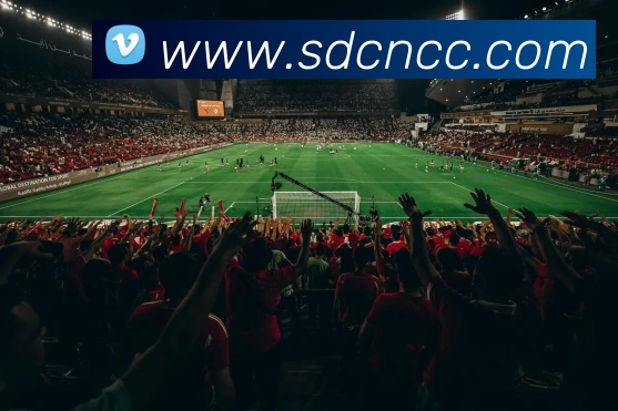 App Interface Preview