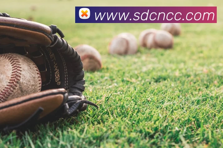 买球官网APP 封面图